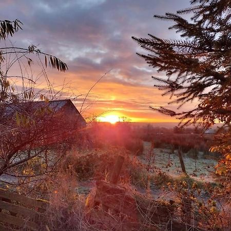 Forest View Cabin Ballaghaderreen Εξωτερικό φωτογραφία