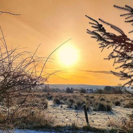 Forest View Cabin Ballaghaderreen Εξωτερικό φωτογραφία