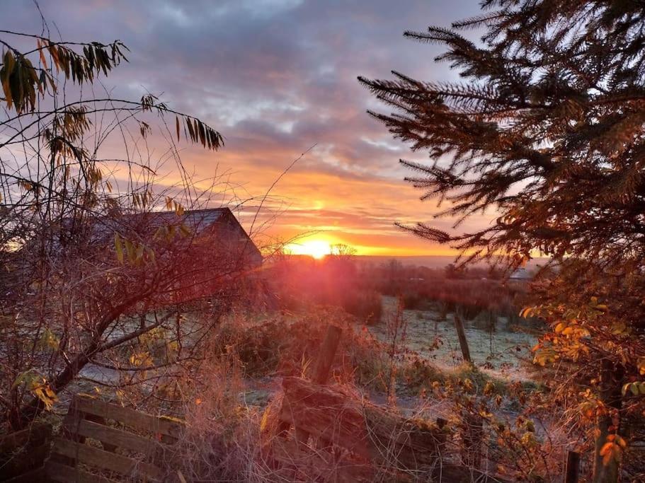 Forest View Cabin Ballaghaderreen Εξωτερικό φωτογραφία