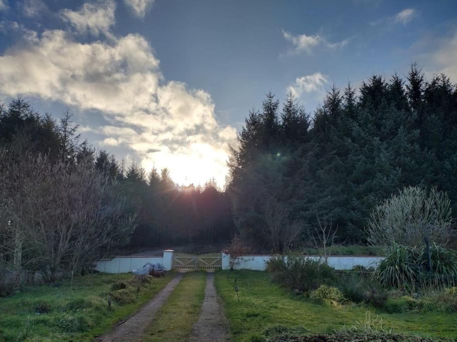 Forest View Cabin Ballaghaderreen Εξωτερικό φωτογραφία