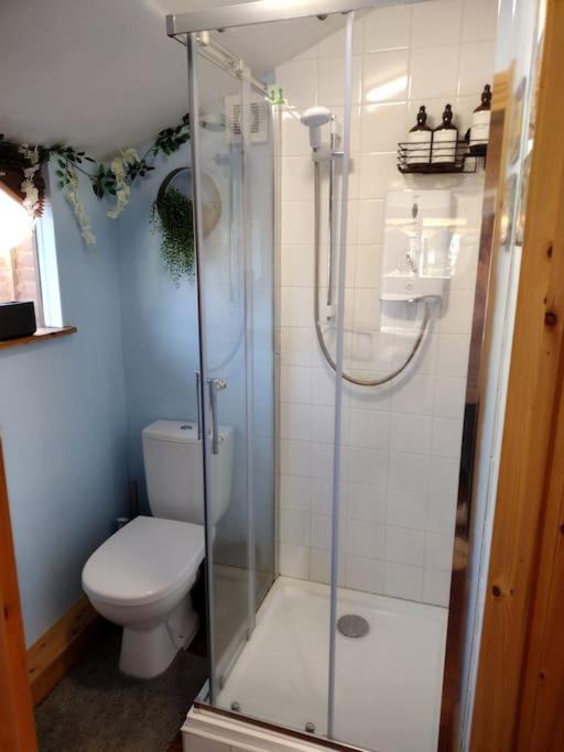 Forest View Cabin Ballaghaderreen Εξωτερικό φωτογραφία