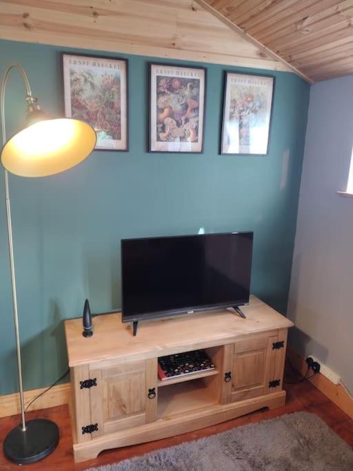 Forest View Cabin Ballaghaderreen Εξωτερικό φωτογραφία