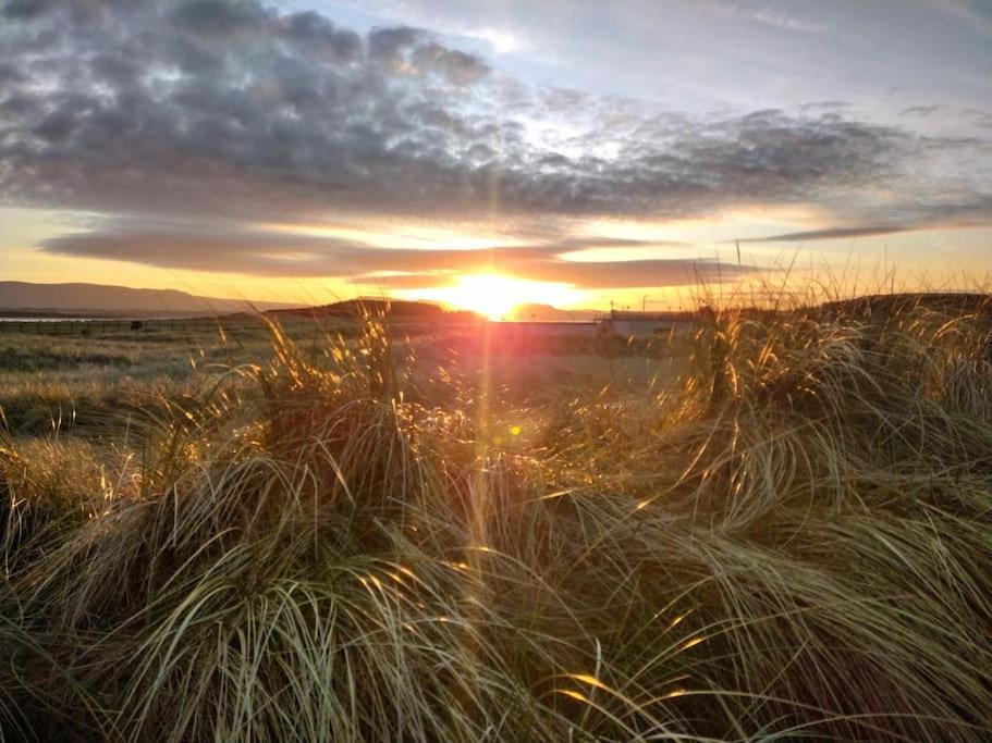 Forest View Cabin Ballaghaderreen Εξωτερικό φωτογραφία