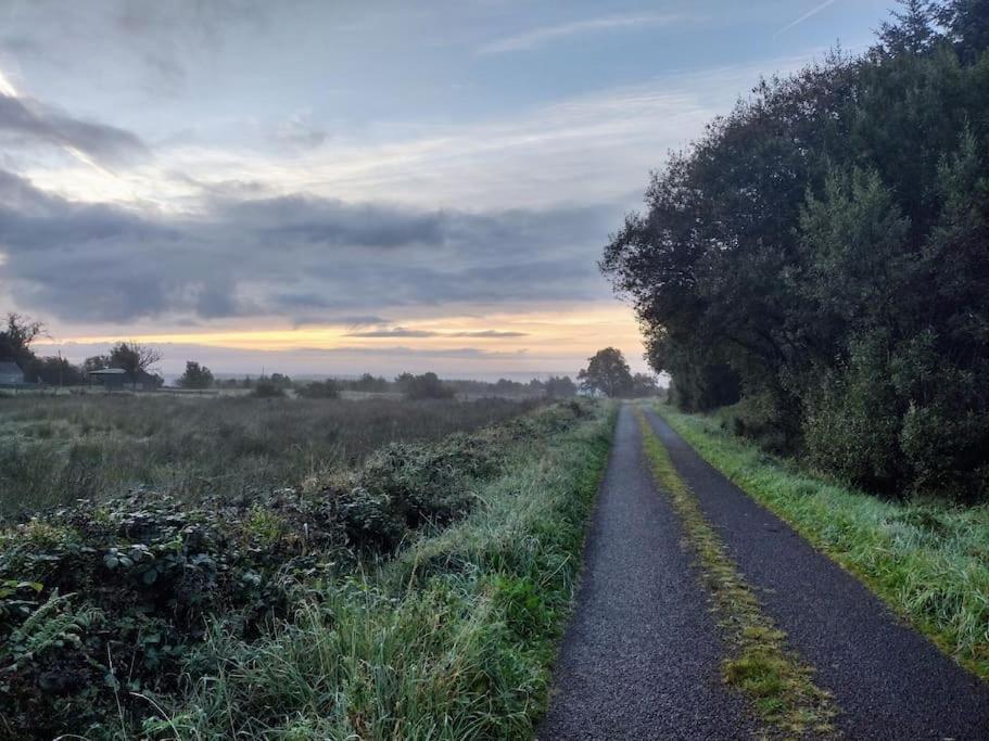 Forest View Cabin Ballaghaderreen Εξωτερικό φωτογραφία