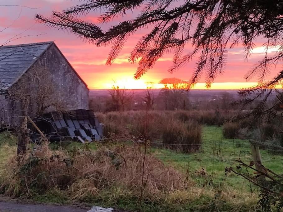 Forest View Cabin Ballaghaderreen Εξωτερικό φωτογραφία