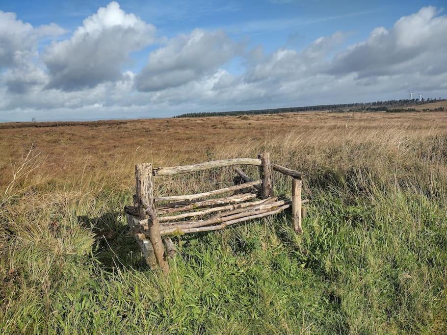 Forest View Cabin Ballaghaderreen Εξωτερικό φωτογραφία